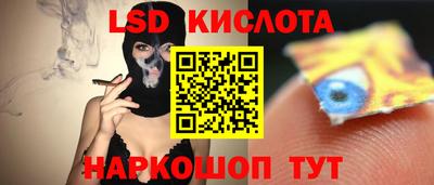 винт Будённовск