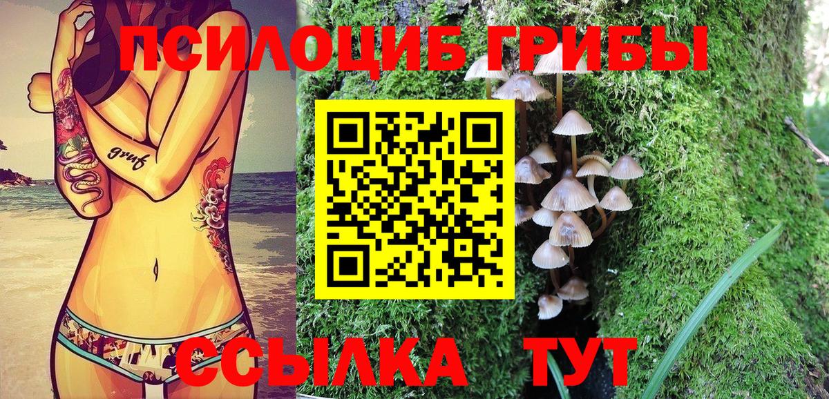 Псилоцибиновые грибы MAGIC MUSHROOMS  Вход с VPN  Новозыбков 